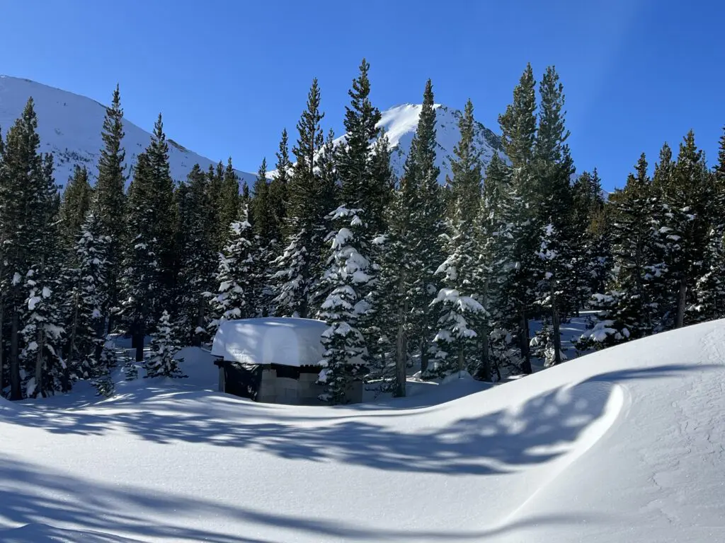 snow scene with new snowfall in the woods plus small structure shed