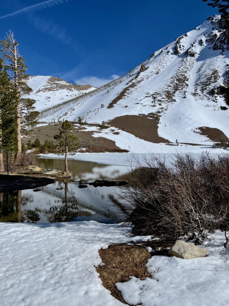 Little Virginia Lake partial melt out